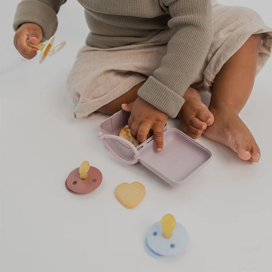 Pacifier Box - Woodchuck