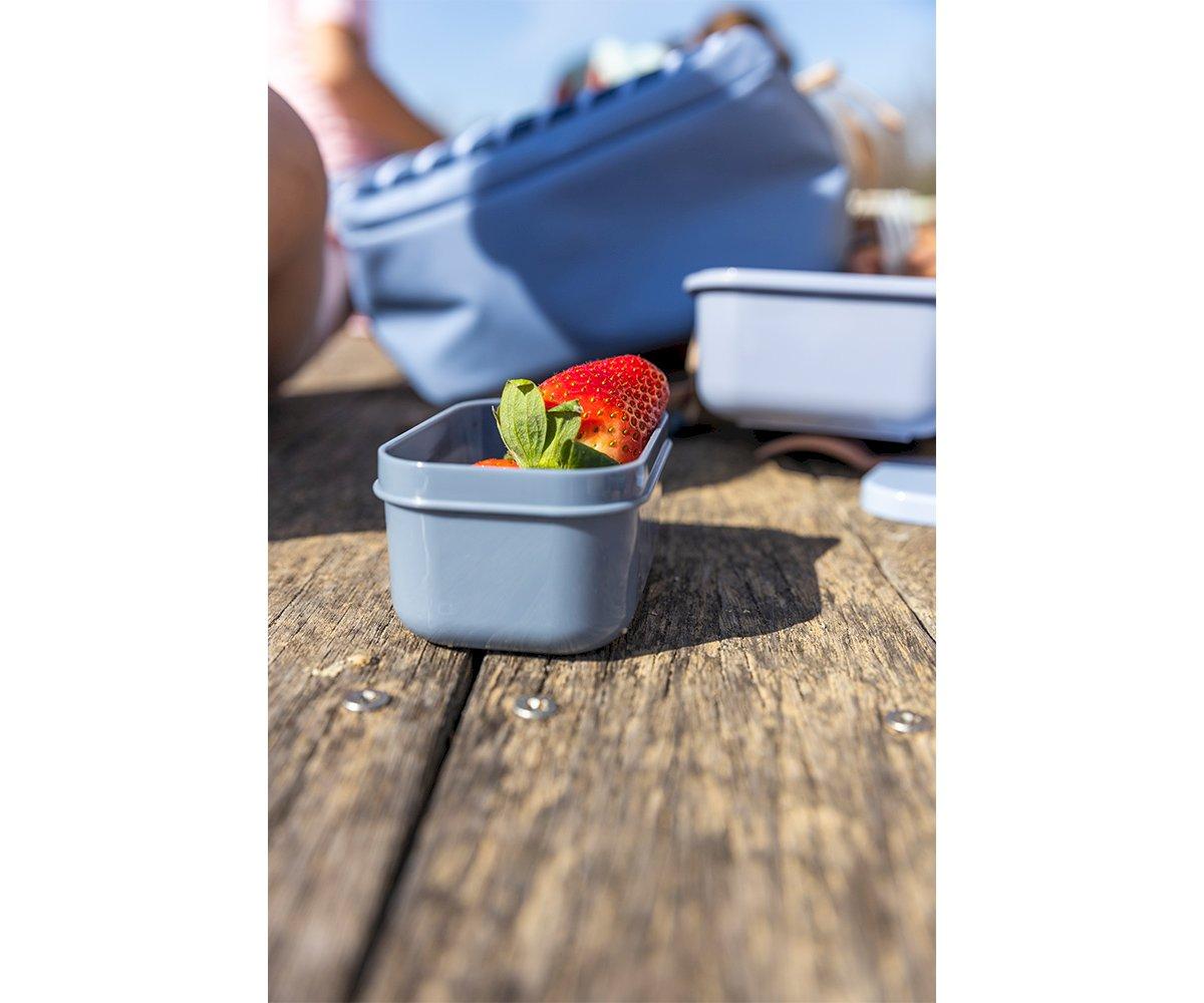 Bento Lunch Boxes - Blue Stripes